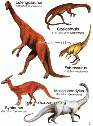 Coelophysis (), Fabrosaurus (), Lufengosaurus (), Massospondylus (), Syntaurus ()