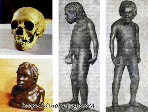 Рис. 28. Реконструкция мальчика-неандертальца из грота Тешик-Таш (по М.М. Герасимову)