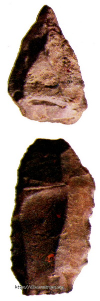 Рис. 34а. Орудия из Тешик-Таша (коллекция НИИ и Музея антропологии)