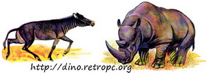 Гиппарион и Этрусский носорог