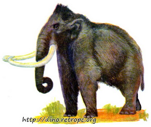 Трогонтериевый слон
