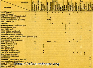 Таблица 8. Деревья, кустарники и травянистые растения, определенные по углям и семенам из культурных слоев стоянок верхнего палеолита