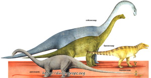 Сейсмозавр. Брахиозавр. Тираннозавр. Диплодок