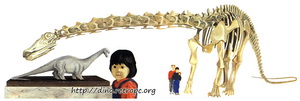 Реконструкция динозавров. Экспонирование в музее модели и скелета динозавра