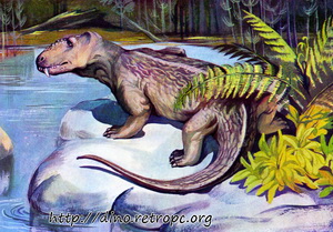  (Doliosauriscus).