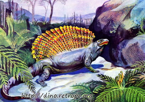  (Edaphosauridae).
