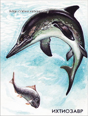 Ихтиозавр (Ichthyosauria)