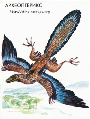 Археоптерикс (Archaeopteryx)