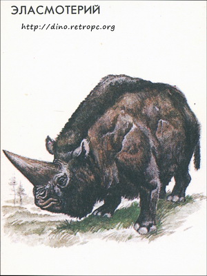 Эласмотерий (Elasmotherium)