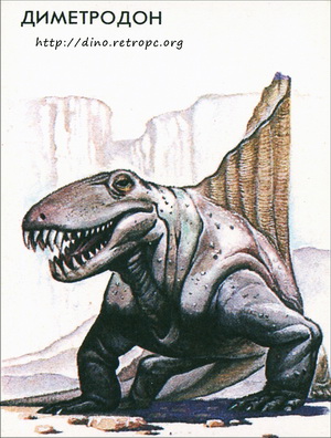 Диметродон (Dimetrodon)