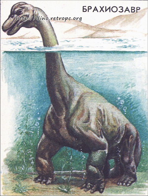 Брахиозавр (Brachiosaurus)