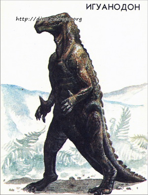 Игуанодон (Iguanodon)