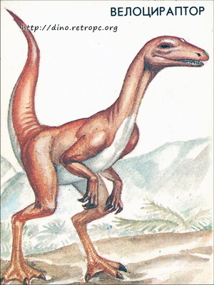 Велоцираптор (Velociraptor)
