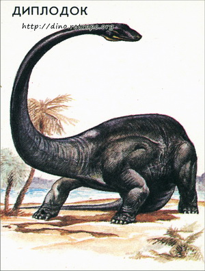 Диплодок (Diplodocus)