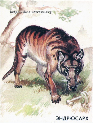 Эндрюсарх (Andrewsarchus mongoliensis)