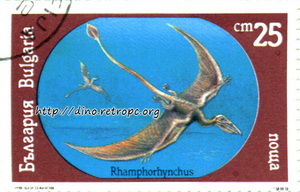 Rhamphorhynchus (Рхампхорхюнчус)