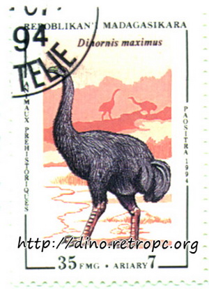 Dinornis maximus (Гигантская Динорнис)
