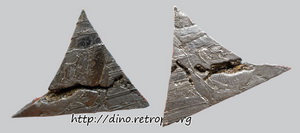 Сеймчанский метеорит (Seymchan)