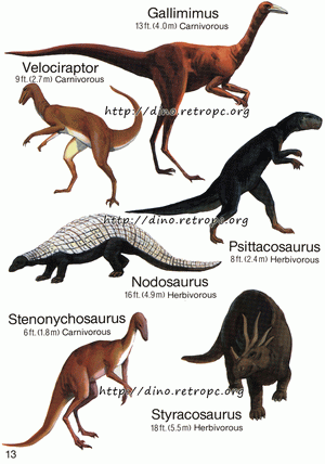 Gallimimus (Галлимимус), Nodosaurus (Нодозавр), Stenonychosaurus (Cтенонихозавр), Velociraptor (Велоцираптор), Scyracosaurus (Стиракозавр), Psittacosaurus (Пситтакозавры)