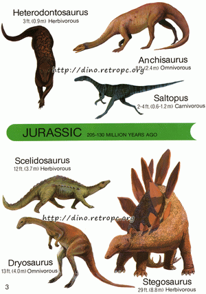 Anchisaurus (Анхизавр), Heterodontosaurus (Гетеродонтозавр), Saltopus (Сальтопус), Stegosaurus (Стегозавр), Scelidosaurus (Сцелидозавр), Dryosaurus (Драйозавр)