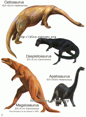 Apatosaurus (Апатозавр), Cetiosaurus (Цетиозавр), Daspletosaurus (Дасплетозавр), Megalosaurus (Мегалозавр)