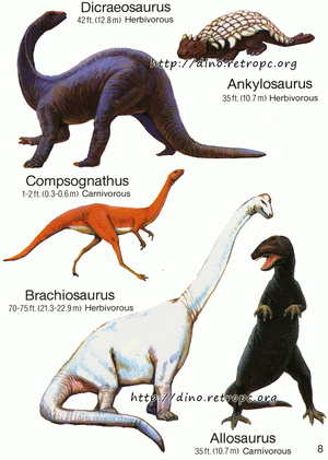 Allosaurus (Алозавр), Ankylosaurus (Анкилозавр), Brachiosaurus (Брахиозавр), Compsognathus (Компсогнат), Dicraeosaurus (Дикреозавр)