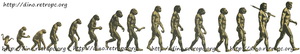 Эволюционное развитие обезьяны в человека.