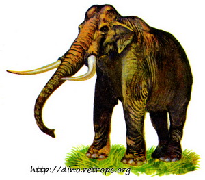 Древний слон
