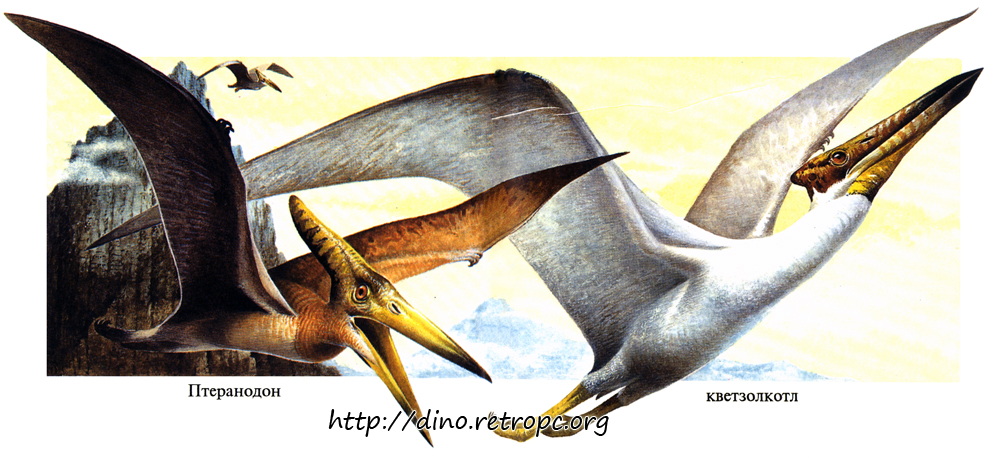 Добрая мама птеранодон. Динозавры летающие названия для детей. Птеранодон игрушка. Летающий динозавр название поделка. Птица похожая на птеродактиля с дом.
