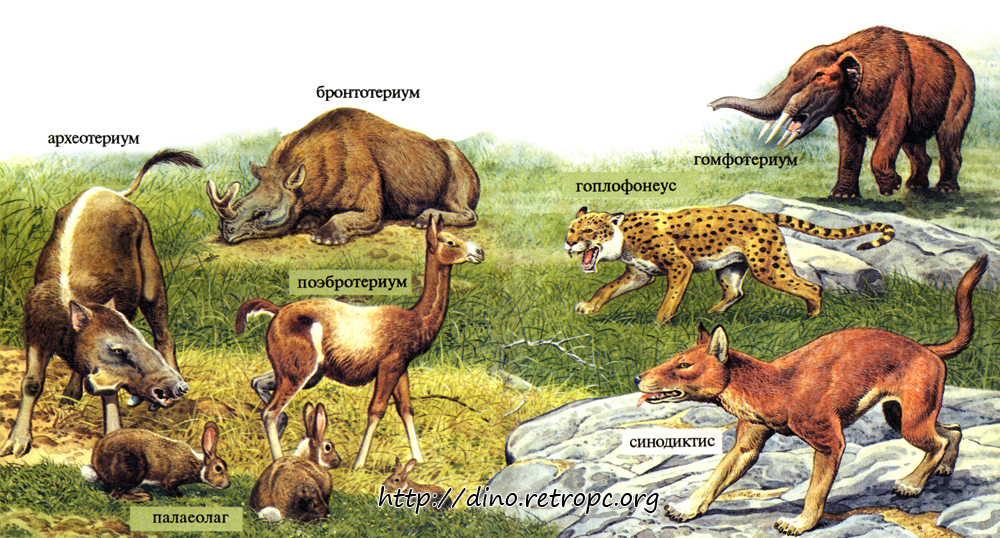 Название древнего животного. Древние травоядные млекопитающие. Доисторические травоядные животные. Древние хищники с названием. Древние млекопитающие названия.