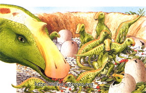 Детеныши Майозавров в гнезде
