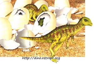 Детеныши Майозавров в гнезде и скорлупа яиц