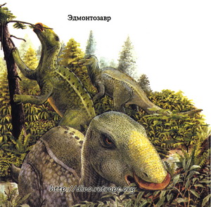 Эдмонтозавр травоядный