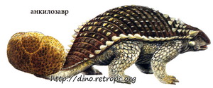 Анкилозавр в костяной броне-панцире с хвостом-дубиной