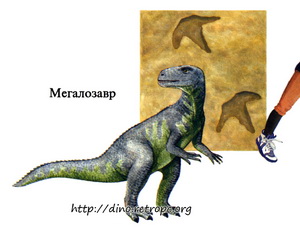 Мегалозавр - окаменевшие отпечатки 3 пальцев