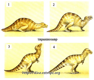 Тиранозавр после пробуждения