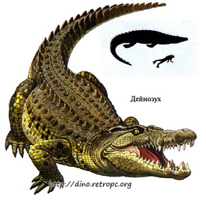 Дейнозух - гигантский крокодил