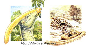 Динозавры были слишком большими и вымерли