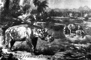 Рис. 49. Uintatherium, остатки этого млекопитающего найдены в слоях эоценовой эпохи в Северной Америке; по J. August и Burian