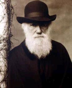 12 февраля исполняется 195 лет Чарльзу Дарвину