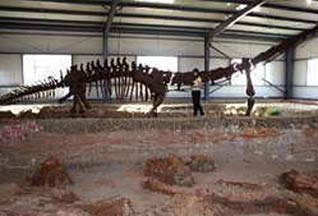 В Китае обнаружено кладбище динозавров