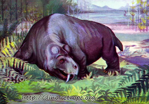  (Rabidosaurus ).