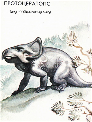 Протоцератопс (Protoceratops)