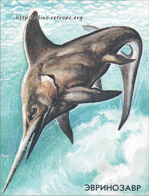 Эвринозавр (Eurhinosaurus Longirostris)