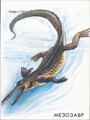 Мезозавр (Mesosaurus)