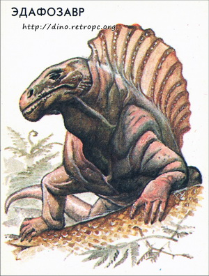 Эдафозавр (Edaphosauridae)
